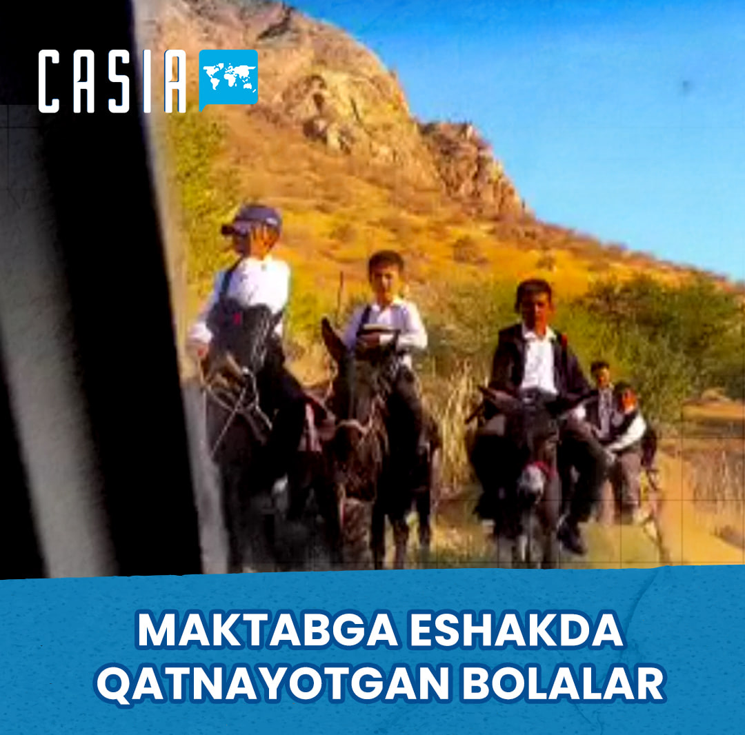 Officials comment on students commuting to school by donkey