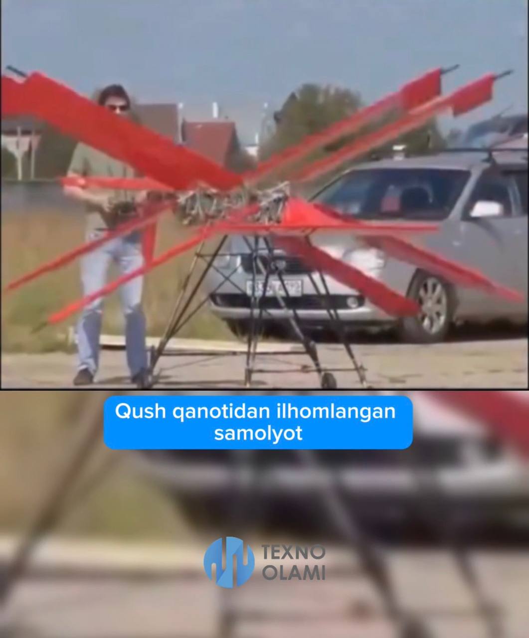Aircraft Inspired by Bird Wings