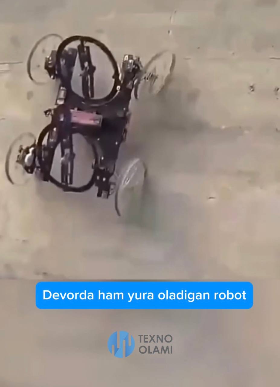 A robot that can walk on walls